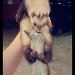 Profile Picture of Kevin Verbauwhede (@kevinverbauwhede) on Instagram