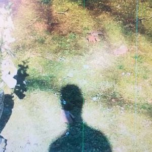 Profile Picture of Paul Corman (@PaulCorman4) on Twitter