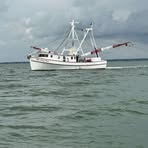 Profile Picture of Tyler Carl (@Tyler-Carl) on Facebook