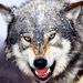 Profile Picture of Michael Kleppinger (@helevorn71) on Pinterest