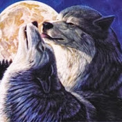 Profile Picture of Daniel Daza Romero (@danieldazaromero5881) on Youtube