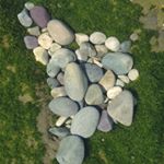 Profile Picture of 이정귄 (@ijeonggwin) on Instagram