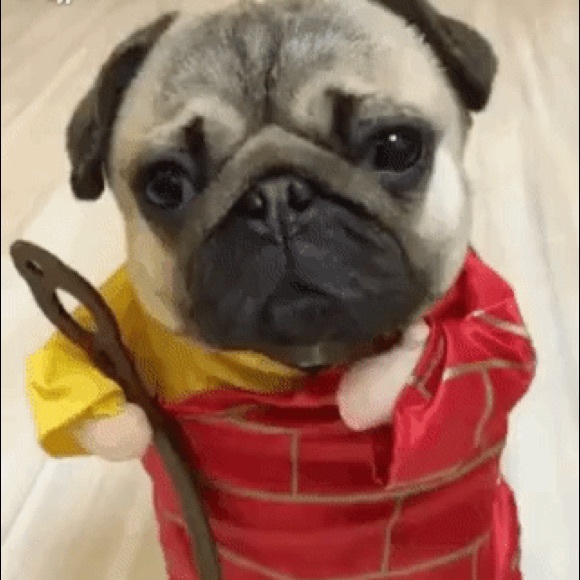 Profile Picture of Tong Chen (@captain99) on Poshmark