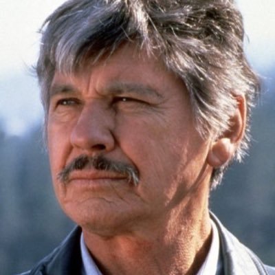 Profile Picture of Charles Bronson (@PaulKersey0) on Twitter