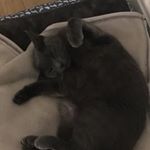 Profile Picture of Vicki Beech (@mousey1976) on Instagram