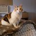 Profile Picture of Gary Hershberger (@gary.hershberger.796) on Facebook