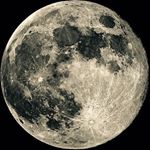 Profile Picture of Matthew  S  Knake (@matthewsknake) on Instagram