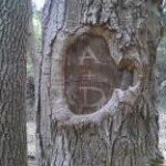 Profile Picture of Don N' Amie Crabtree (@amiendon) on Instagram