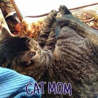Profile Picture of Danielle Witmer (@danielle-witmer-1) on Quora