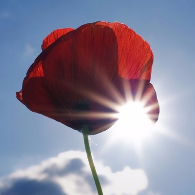 Profile Picture of Matt Dorey (@madetotry) on Twitter