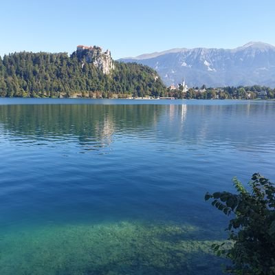 Profile Picture of Joe Warrington (@_joemw) on Twitter