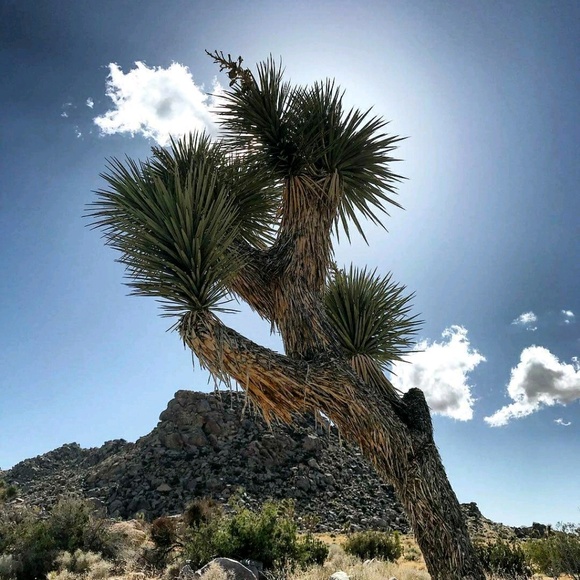 Profile Picture of Tim Daniel (@spcwest1307) on Poshmark