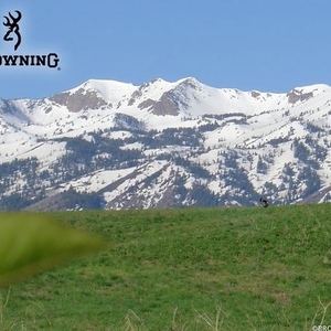 Profile Picture of Jeffrey Dockins (@214640709) on Myspace