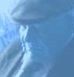 Profile Picture of Luz Garcia Wiesner (@luzmarina.garciaw) on Facebook