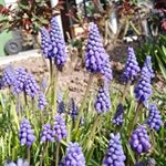 Profile Picture of Sonja Burkhalter (@sonja_burkhalter) on Instagram