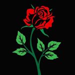 Profile Picture of Mo Bolden (@rxsemo) on Instagram