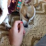Profile Picture of Marlene Zamudio (@zamudioooo.322) on Instagram