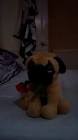 Profile Picture of   Ruby(@scooby.doodles) on... (@scooby.doodles) on Tiktok