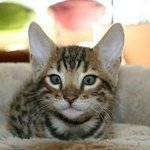 Profile Picture of Andre Whitehead (@whiteheadandre) on Instagram