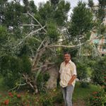 Profile Picture of Mike Mühlhaus (@muehlitaucha) on Instagram