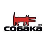 Profile Picture of SOBAKA.RU (@sobaka.ru.perm) on Instagram