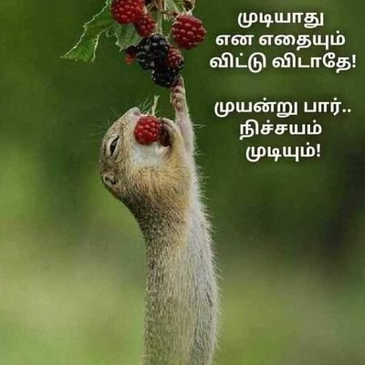 Profile Picture of Venkatesh Ram (@Venkate72959901) on Twitter