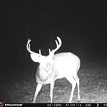 Profile Picture of Andrew McLeod (@sputnik20062019) on Instagram