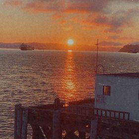 Profile Picture of emilee carlson (@emileecarlson49) on Pinterest