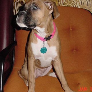 Profile Picture of George Honican (@george.honican) on Facebook