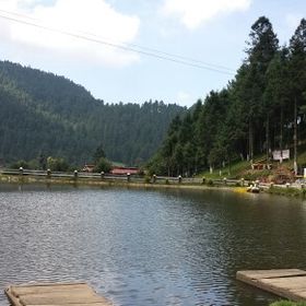 Profile Picture of Dee Silva (@diansilb) on Pinterest