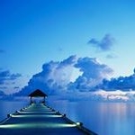 Profile Picture of Joey Rodman (@joey.rodman) on Instagram