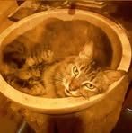 Profile Picture of Robert Hart (@robert.hart.938860) on Facebook