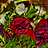 Profile Picture of %u0645%u064E%u0646%u0622%u0644 %u0625%u0628%u0631%u0622%u0647%u064A%u0645 . (@Manal Ibrahim22) on Flickr