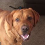 Profile Picture of Daniel_wardrop05 (@daniel_wardrop05) on Instagram
