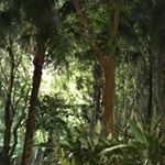 Profile Picture of Nick Calabrese (@nickdude42) on Instagram