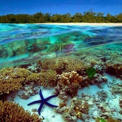 Profile Picture of Bill Reeder III (@breederiii) on Twitter