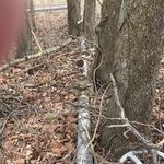 Profile Picture of charles Neeley (@titanppt) on Instagram