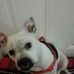 Profile Picture of Maureen Perry (@maureen.perry.505) on Facebook