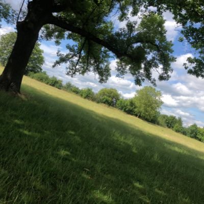 Profile Picture of Fern Harrison (@FernHarrison10) on Twitter