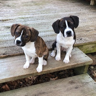 Profile Picture of Trisha Yates (@TrishaY19378096) on Twitter