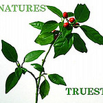 Profile Picture of Kareem Smith (@natures truest) on Flickr