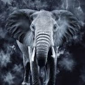 Profile Picture of Vee Gordon (@veegordon4212) on Youtube