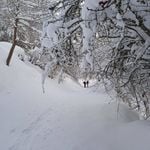 Profile Picture of TONI (@tonifondaque) on Instagram