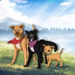 Profile Picture of 𝙿𝚊𝚞𝚕𝚊 𝚊𝚗𝚍 𝚝𝚑𝚎 𝚙𝚊𝚌𝚔 🌿 (@paulaspack) on Instagram