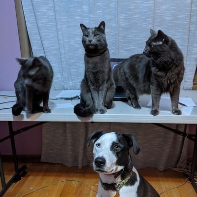 Profile Picture of Jeffrey Weisman (@JeffreyWeisman3) on Twitter