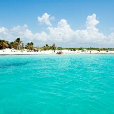 Profile Picture of Emily Chang (@serendipity070) on Twitter