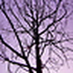 Profile Picture of Mariana Pereira Da Santana (@smarips) on Flickr