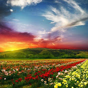 Profile Picture of Cecilia C Dooley White (@ceciliacdooleywhite9320) on Youtube