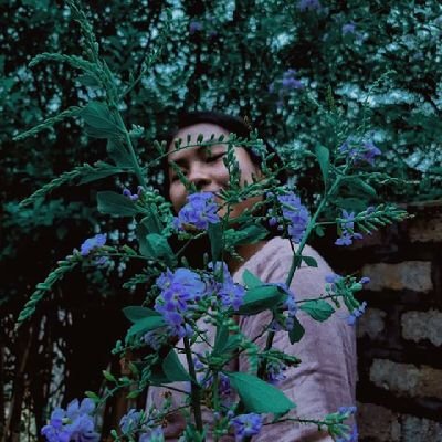 Profile Picture of Yex Pleek Pao (@PhoenixYex) on Twitter