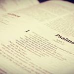 Profile Picture of Steven Standridge (@steven.standridge.7771) on Instagram